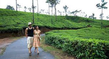 Coorg Delight Tour