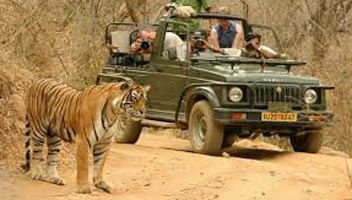 Royal Rajasthan Tour With Tiger Safari