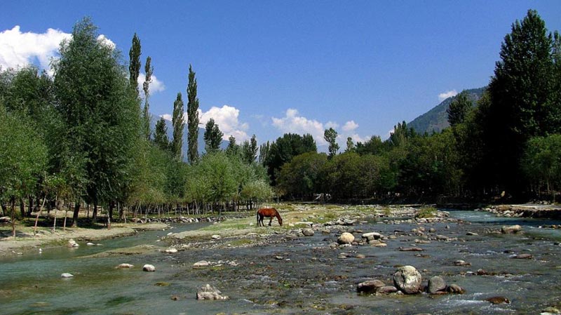 Beauty Of Kashmir Himalaya (7N/8 Days) Tour
