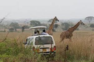 3 Days Masai Mara Safari