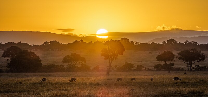 Masai Mara is the land of breathtaking landscapes and abudance wildlife Image