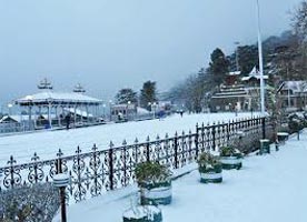Exciting Tour Of Shimla 2*