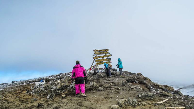 8 Days Mount Kilimanjaro Climbing Lemosho Route Tour Image