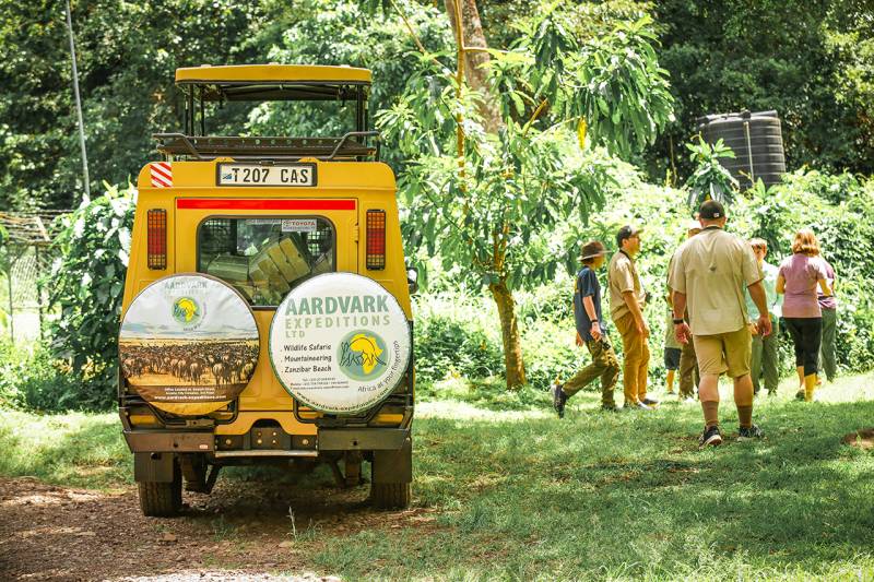 Lake Manyara National Park Day Trip