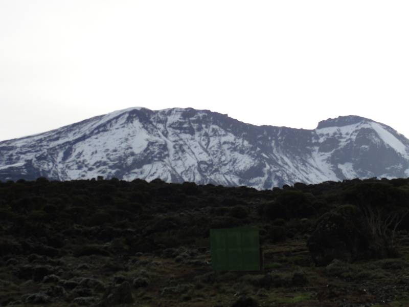 9 Days Mount Kilimanjaro Climbing Northern Circuit Route Tour
