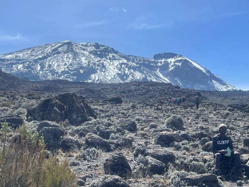Kilimanjaro Climb Day Trip