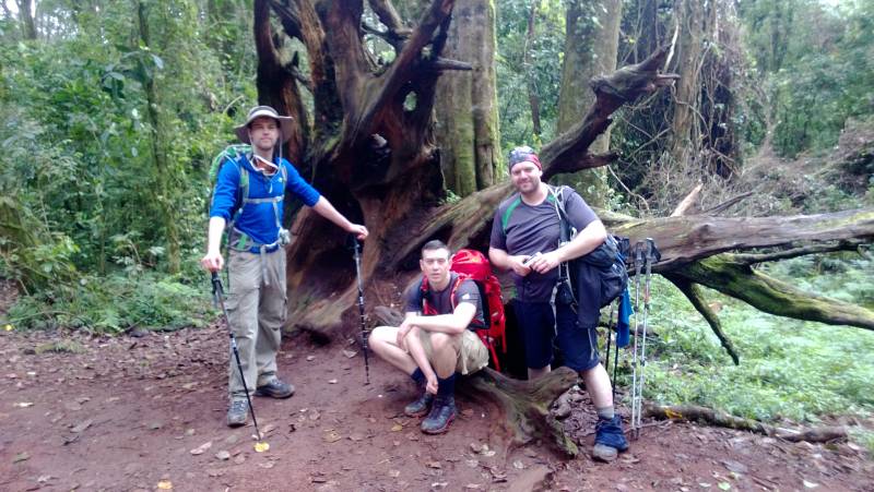 8 Days Mount Kilimanjaro Climbing Lemosho Route Tour