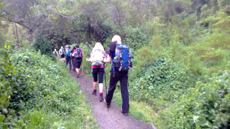 8 Days Mount Kilimanjaro Climbing Lemosho Route Tour