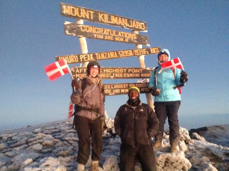 8 Days Mount Kilimanjaro Climbing Rongai Route Tour