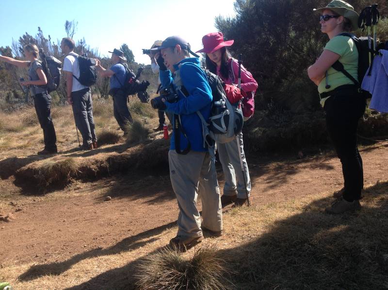 7 Days Mount Kilimanjaro Climbing Machame Route Tour