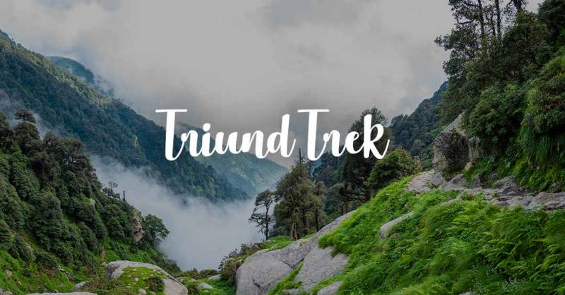 Triund Trek Camping