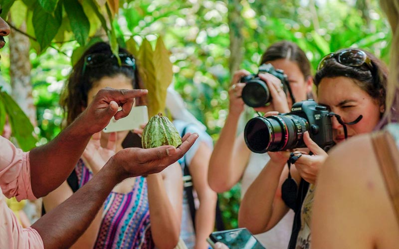 Goa & Kerala vacation Tour