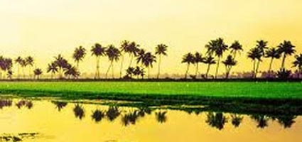 Delightfull Kerala Tour