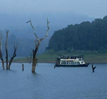 Kerala Misty Mountains Tour