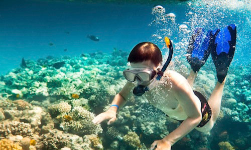 7 Days Port Blair - Havelock  with North Bay Islands Tour Image