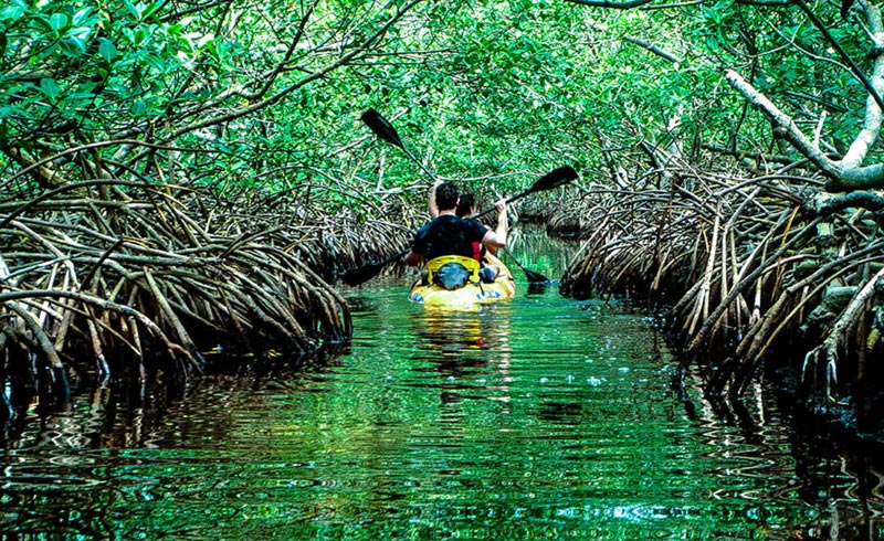 8 Days 7 Nights Honeymoon Tour Package