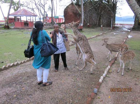 7 Days 6 Nights  Honeymoon Tour Package