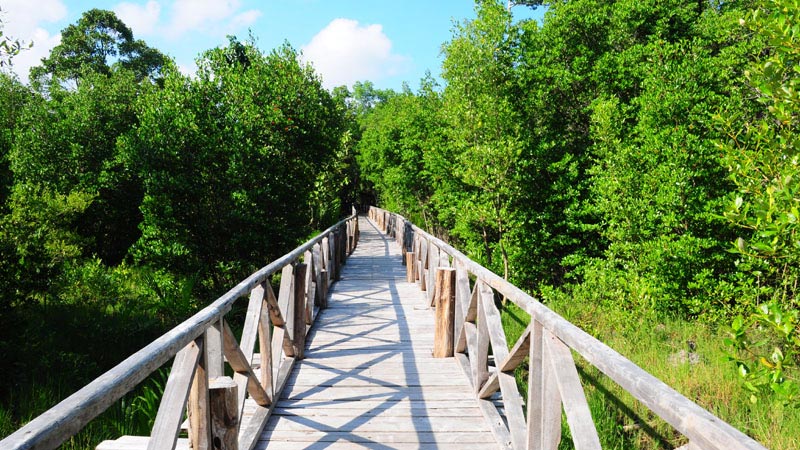 9 Nights 10 Days Andaman Family Special Package