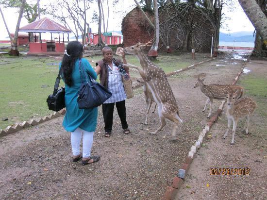 9 Nights 10 Days Andaman Family Special Package