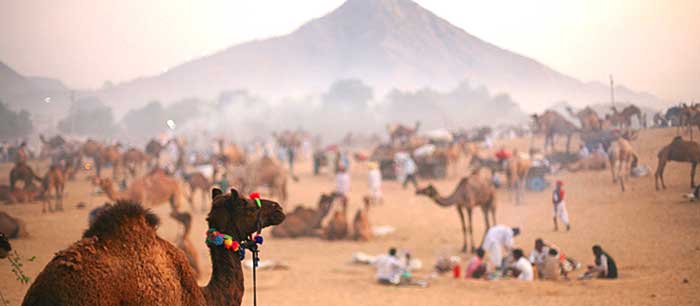 Pushkar Fair Tour