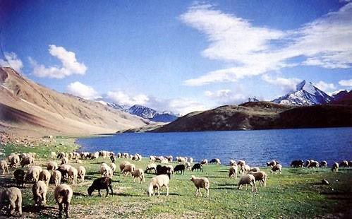 Ladakh - Hemis Festival Package