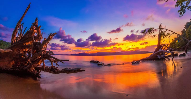 Sun Sand & Cave Temples Tour