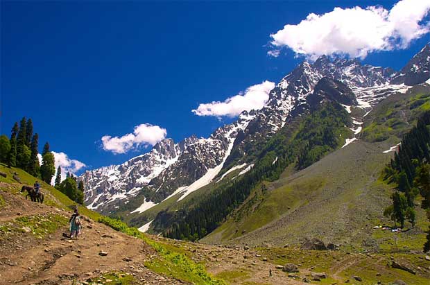 Kashmir -Switzerland of the East Tour