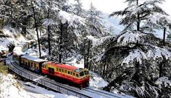 Shimla-The Majestic Land Tour