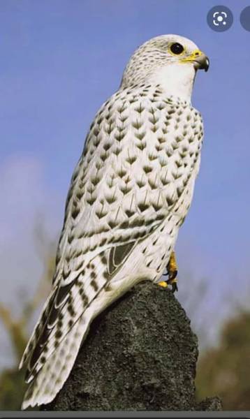 Tour Package for Central Asian States Tour