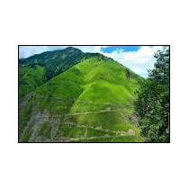 Jalsu Pass Trek Tour