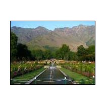 Srinagar 3 days Tour