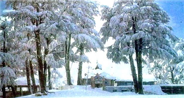 Shimla 3 Star Weekend Packages For 03 Days