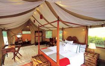 TUTC Kohima Luxury Camp Tour