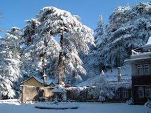 Shimla Manali Honeymoon Tour