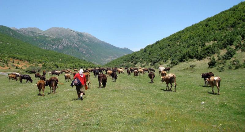 Grand Tour In Albania Package