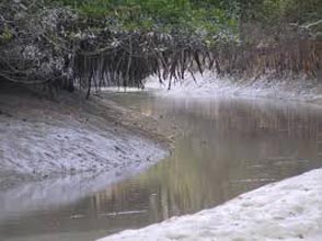 Sunderban Wilderness Tour