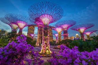 8 Days Singapore With Royal Caribbean Cruise Tour In March