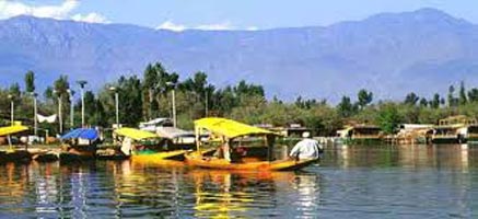 Trout Fishing In Kashmir Tour