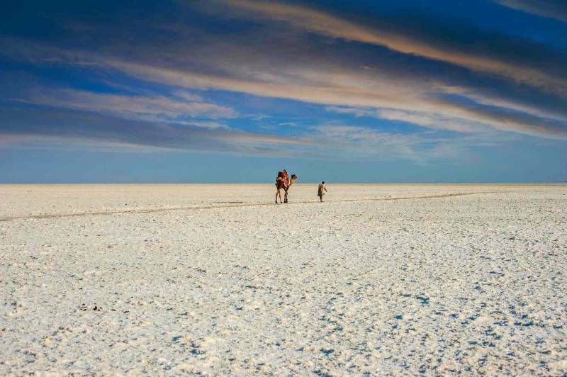 Awesome Experience At Rann Utsav