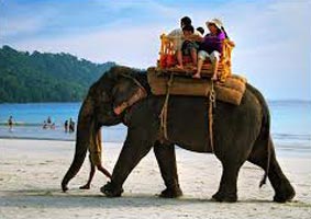Discover Andaman's Tour