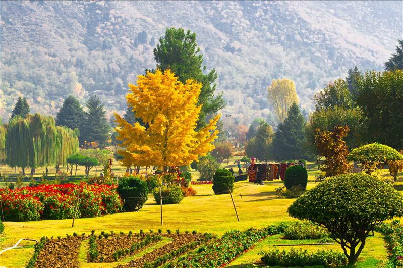 Golden Triangle With Kashmir Tour