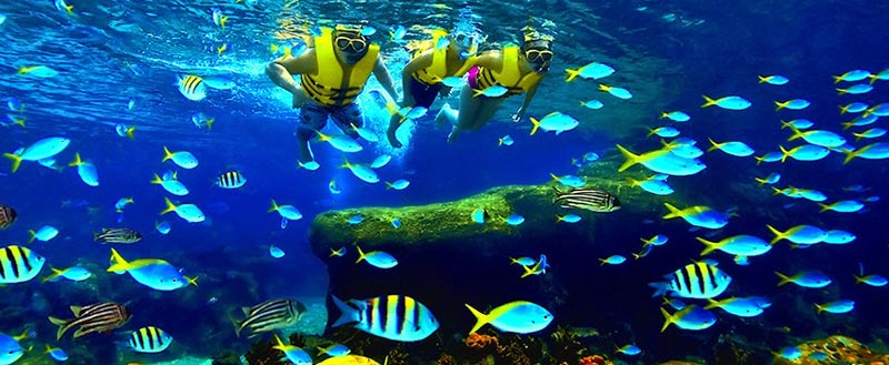Singapore Holiday Package 4 Days With Sentosa