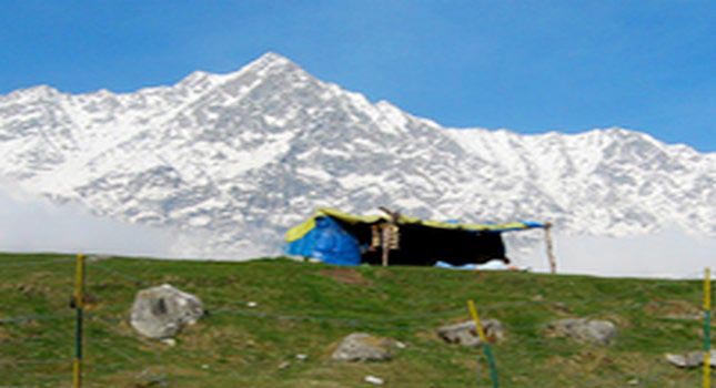 Himachal Package 4 Days : Shimla + Parwanoo