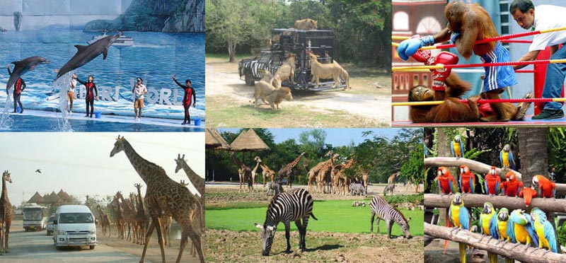 Phuket, Krabi, Pattaya & Bangkok 8 Nights/9Days Package