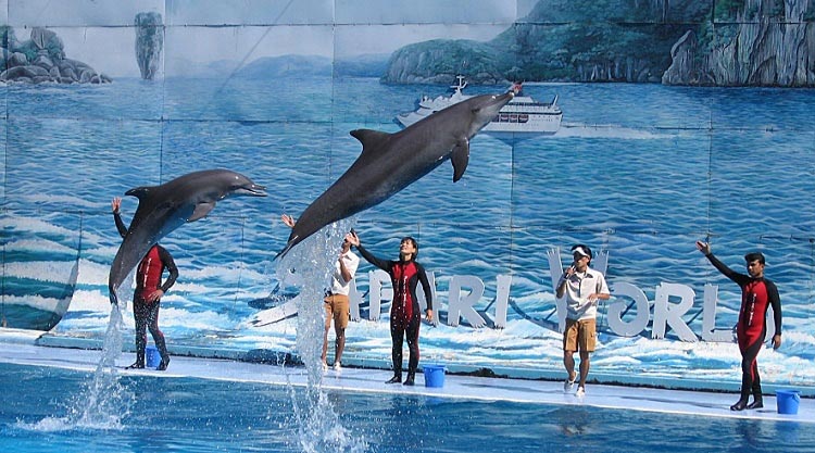 New Year Thailnad Sale Tour