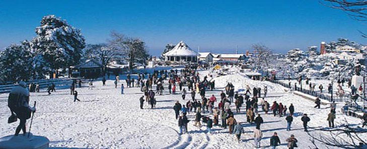 Manali Tour