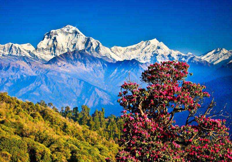 Natural Nepal  Tour