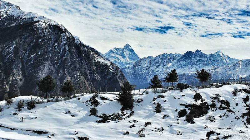 Auli Tour Package 5 Days