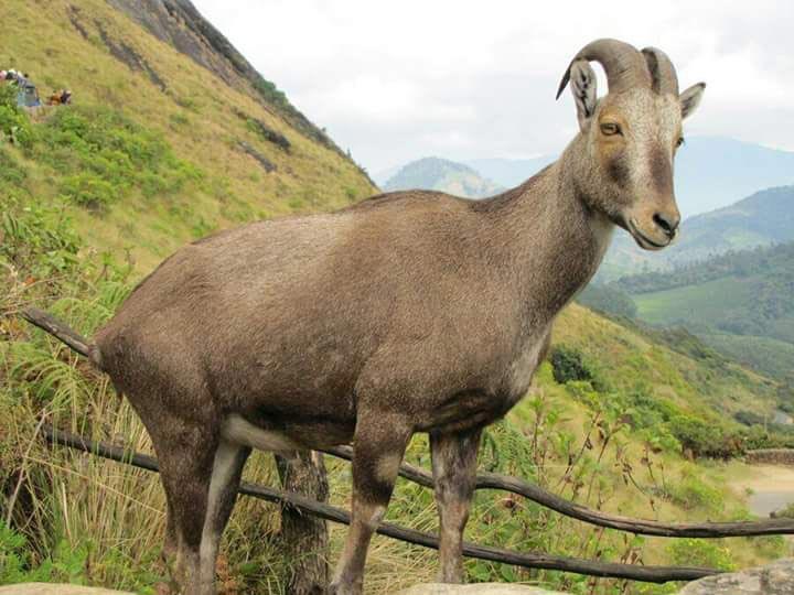 Blissful Kerala 4 Nights/ 5 Days package