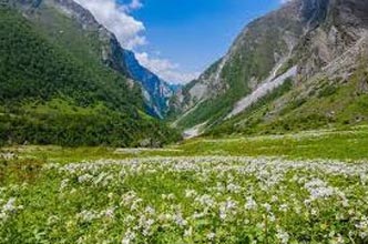 Arunachal Pradesh “Paradise Of The Botanists” Tour